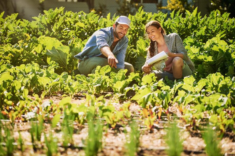 Organic Farming: Principles, Methods, and Benefits for Sustainable Agriculture