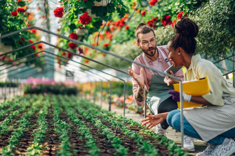 Modern Agriculture: Boosting Crop Productivity with Eco-Friendly Farming Methods